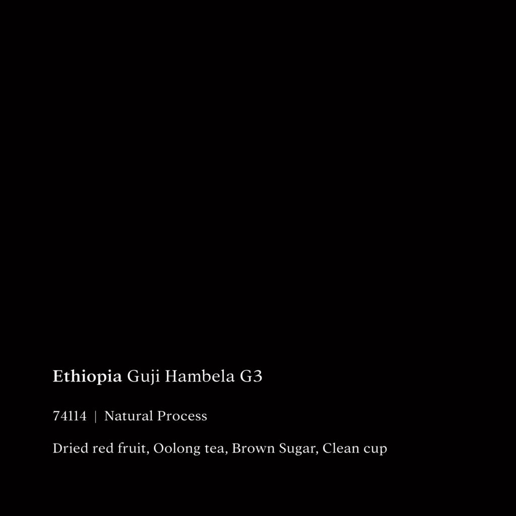 Single Origin Espresso (SOE)